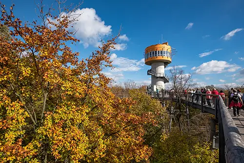 Baumkronenpfad Hainich